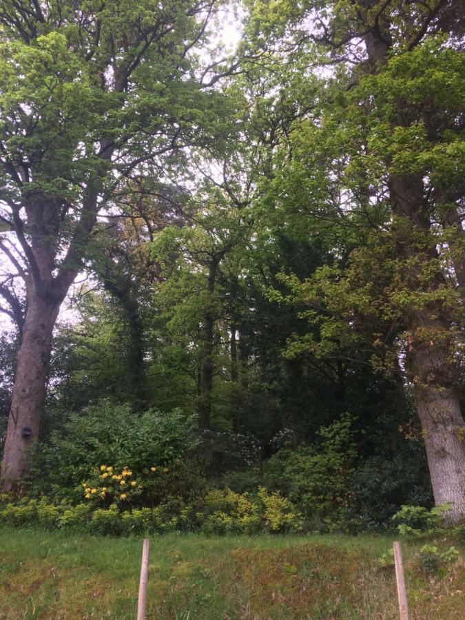 לינה וארוחת בוקר קזיק Claremont House Keswick מראה חיצוני תמונה